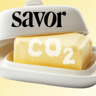SAVOR logo